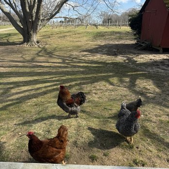 The Old Field - Venues & Event Spaces Near Me - Southold, New York