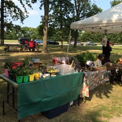 Jackson Park - Wonderful things to see at the Jackson Park Farmers Market