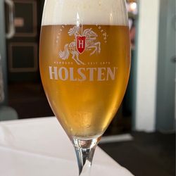 Schleimöwe