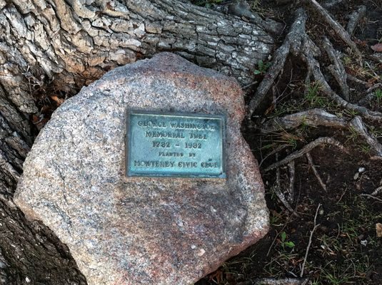 Colton Hall Museum and Jail by null