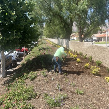 Green Terra - Gardeners Near Me