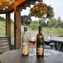 Photo of Pail Shop Vineyards