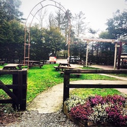 Roches Pub - Beer Garden