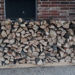 Top Notch Tree & Firewood Services - 1/2 cord of seasoned ash firewood