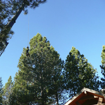 Spring River Tree Service -    - Tree Services Near Me - Sunriver, Oregon