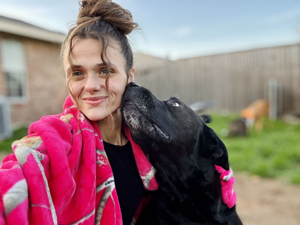 M & N Pet Services Image