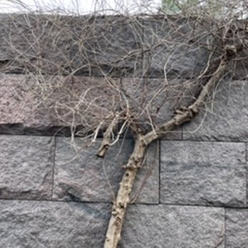 Franklin Delano Roosevelt Memorial - Landmarks & Historical Buildings Near Me - Washington, DC, District of Columbia