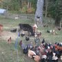 Photo of Sequatchie Cove Farm