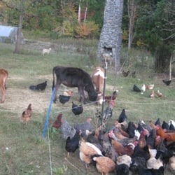 Sequatchie Cove Farm - Fresh local food at the Farm