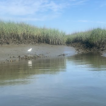 Coastal Expeditions - Tours Near Me - Mount Pleasant, South Carolina Coastal Expeditions - Tours Near Me - Mount Pleasant, South Carolina