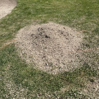 Mark's Stump Grinding - Tree Services Near Me Mark's Stump Grinding - Tree Services Near Me