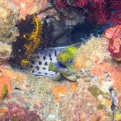 Space Coast Dive Center