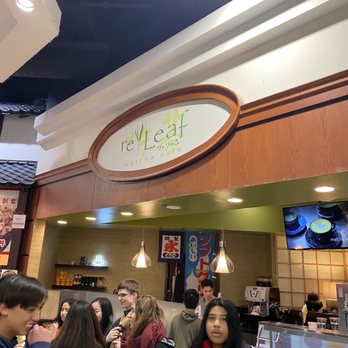 releaf - Counter - Ice Cream & Frozen Yogurt Near Me - Arlington Heights, Illinois releaf - Counter - Ice Cream & Frozen Yogurt Near Me - Arlington Heights, Illinois