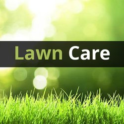 Lawn-N-Order Lawn Care & Property Management