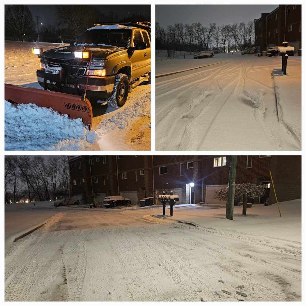 Slide of The Worker Bee