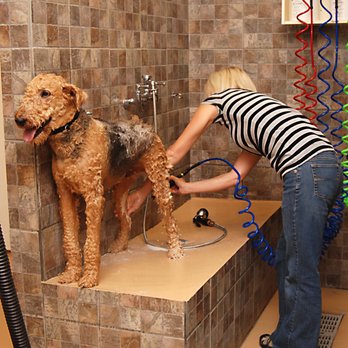 Pet Xtras Grooming & Training - Pet Groomers Near Me - Howell, Michigan Pet Xtras Grooming & Training - Pet Groomers Near Me - Howell, Michigan