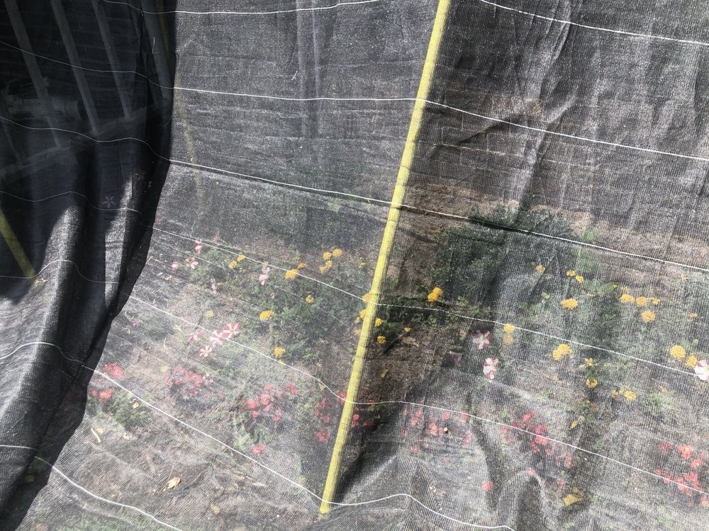 Slide of Florence Roofing