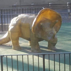 Dinosaur Playground - Triceratops