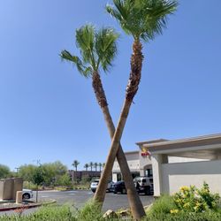 In-N-Out Burger - Drive-thru view
