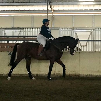 FHF Equestrian - Learning how to fix my bad habits with this wonderful horse! Franceska has helped me begin getting back into shape and rebuild muscle! - Horseback Riding Near Me FHF Equestrian - Learning how to fix my bad habits with this wonderful horse! Franceska has helped me begin getting back into shape and rebuild muscle! - Horseback Riding Near Me