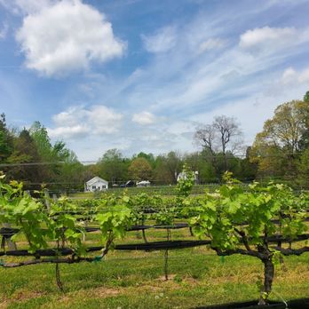 Curran Alexander Vineyards - Vines - Wine Tasting Room Near Me - Lexington, North Carolina Curran Alexander Vineyards - Vines - Wine Tasting Room Near Me - Lexington, North Carolina