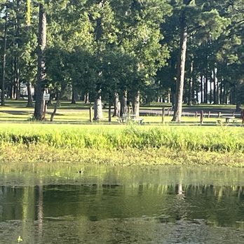 Alexander Deussen Park - Moma duck with her tiny ducklings - Parks Near Me - Houston, Texas