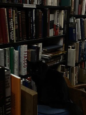 Recycle Bookstore by null