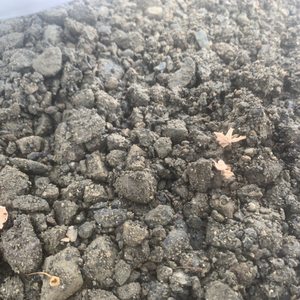 Photo of Salmon Bay Sand & Gravel - Seattle, WA, United States. Untouched gravel.