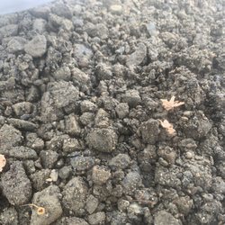 Photo of Salmon Bay Sand & Gravel - Seattle, WA, US. Untouched gravel.