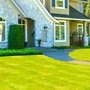Liqua Grow Turf