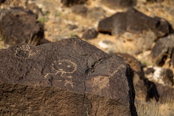 Petroglyph National Monument by null