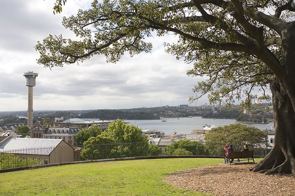Observatory Hill Park by null