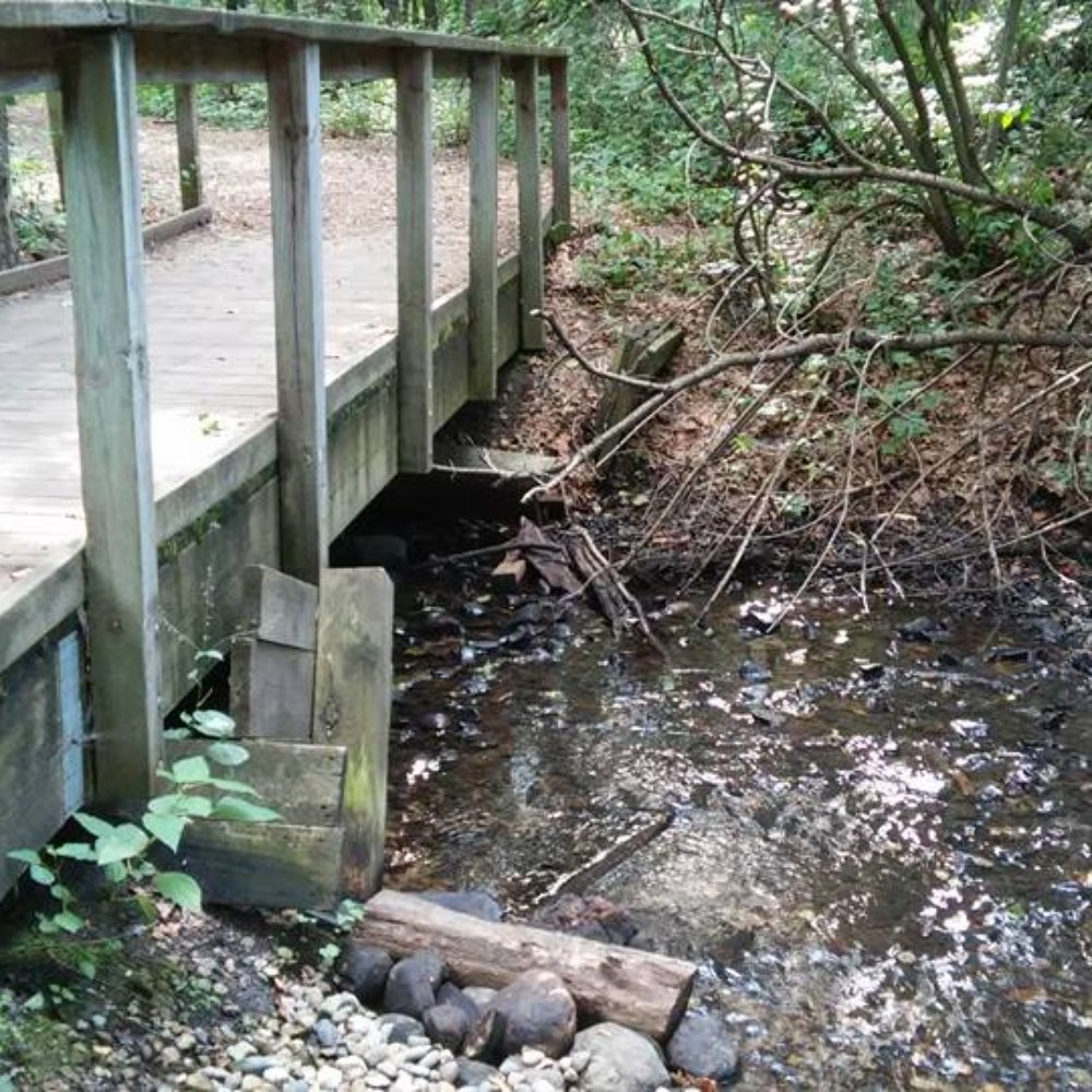 Dahlem Conservancy & Envrn Educ Center - Educational Services Near Me - Jackson, Michigan