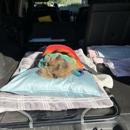 My kitty's body, wrapped in a rainbow blanket.