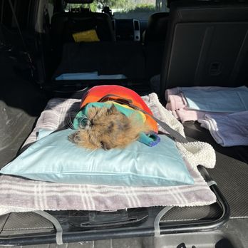 Angel Veterinary Services - My kitty's body, wrapped in a rainbow blanket. - Veterinarians Near Me - Phoenix, Arizona
