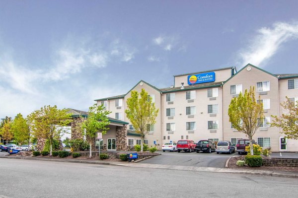 Comfort Inn Suites 2019 All You Need To Know Before You Go