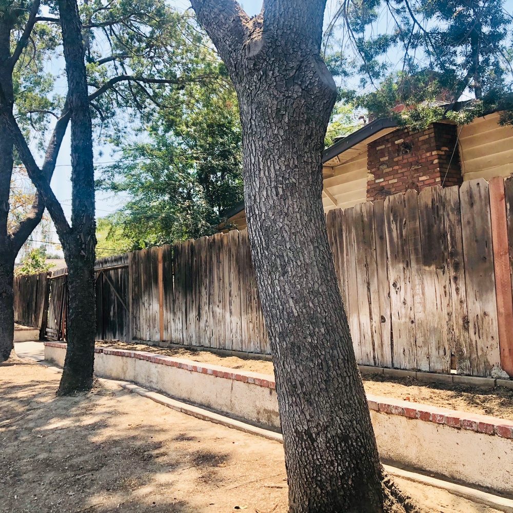 Top Unit Tree Service - Tree Services Near Me - Norwalk, California Top Unit Tree Service - Tree Services Near Me - Norwalk, California