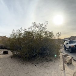Jumbo Rocks Campground - Site 88