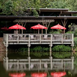 The Discovery Cafe
