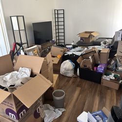 515 Connexions - Family room before