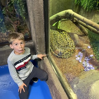 SeaQuest - Folsom - Yikes a Python - Aquariums Near Me - Folsom, California SeaQuest - Folsom - Yikes a Python - Aquariums Near Me - Folsom, California