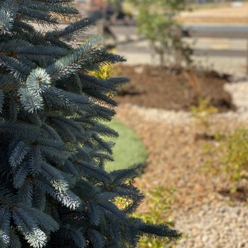 Avis pour conception de paysage exquise colorado