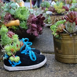Lake Forest Park Farmers Market