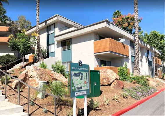 Trolley Palm by null