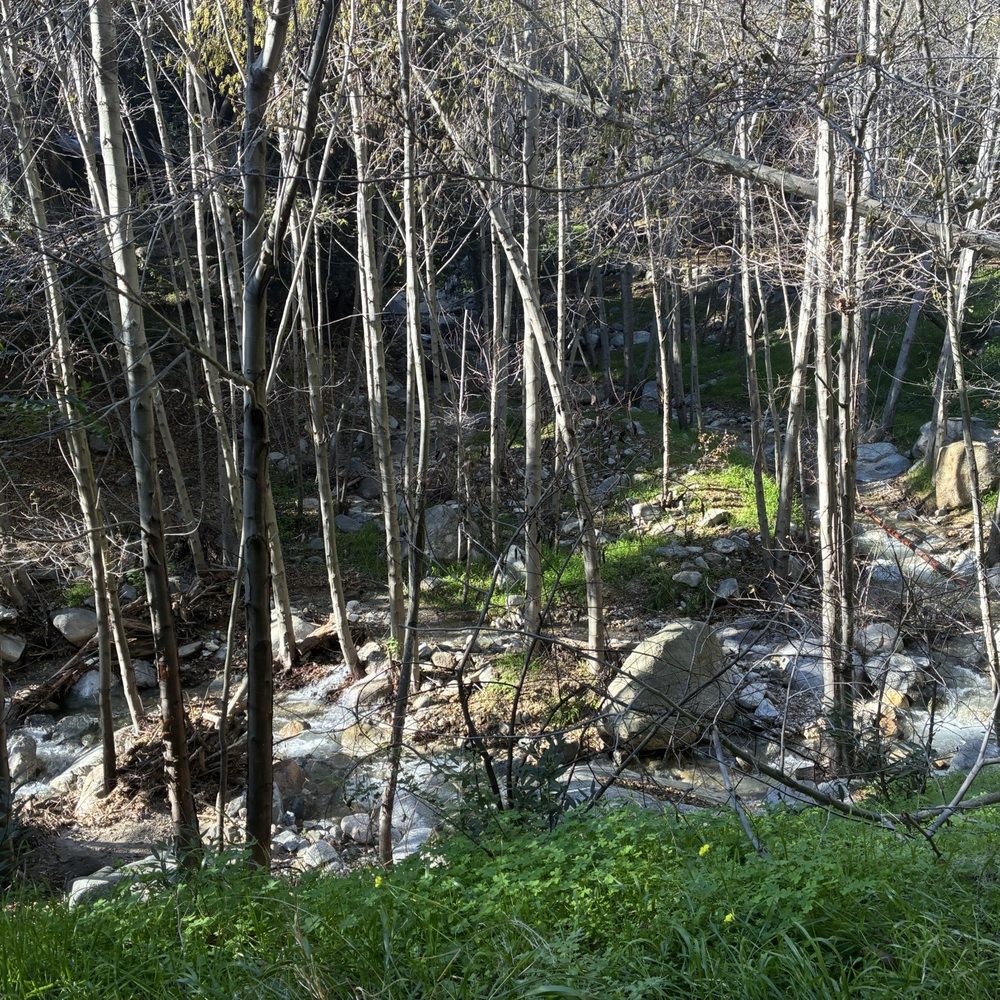Millard Canyon - Parks Near Me - Altadena, California Millard Canyon - Parks Near Me - Altadena, California