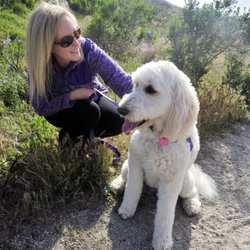 Boney Mountain Pet Sitting