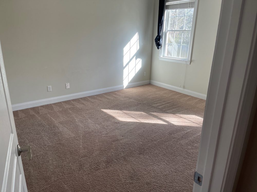 OCEANSIDE CARPET CLEANING & PRESSURE WASHING Updated August 2024 24