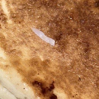 Bay Ridge Diner - The thing I found in my pancakes - American Near Me - Brooklyn, New York
