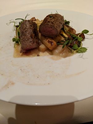 Modrzewie Park Hotel & SPA by null