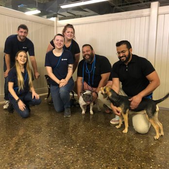 Hounds Town - Pet Groomers Near Me - Galloway, New Jersey
